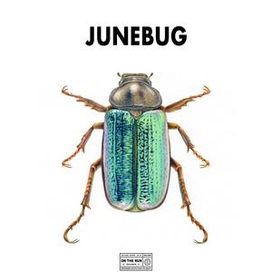 Junebug