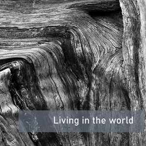 Living in the world