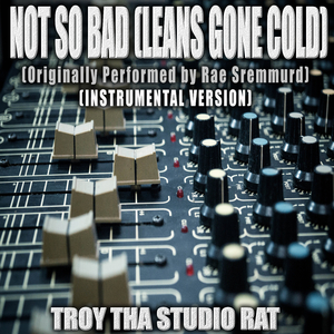 Not So Bad (Leans Gone Cold) (Originally Performed by Rae Sremmurd) (Instrumental Version)