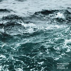 Summer Night By The Sea