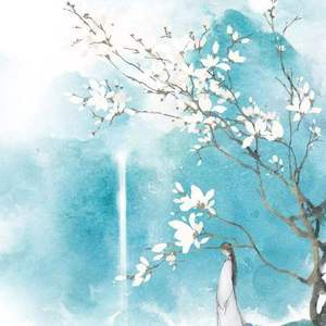 杏花弦外雨（Cover 司夏/CRITTY）