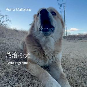 放浪の犬（Perro vagabundo）