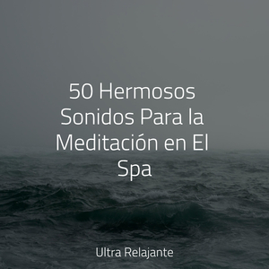 Incluso Es La Niebla