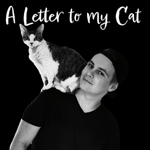 A Letter to my Cat