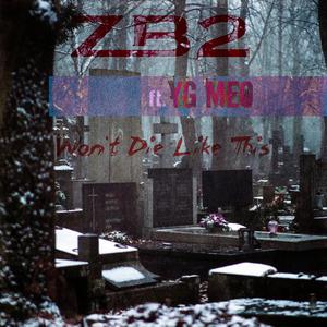 Won't Die Like This (feat. Yg Meo)