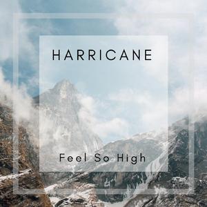 Feel So High