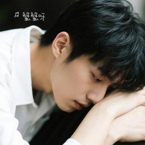 笨蛋的意外性 (Cover 贰万)
