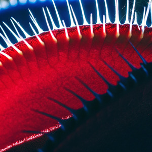 HYPERPLANT (Ghost) - Extended Mix