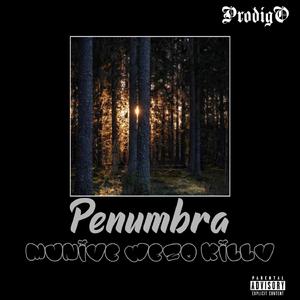 Penumbra