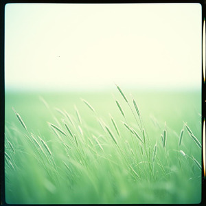 悲しい回想シーンで流れる曲