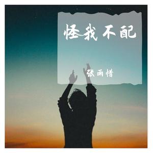 张雨惜-怪我不配 伴奏