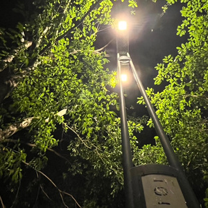 人来人往你不会记住我