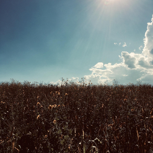 Geçti Yar (Akustik)