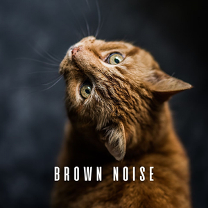 Purrfectly Dreamy Melodies