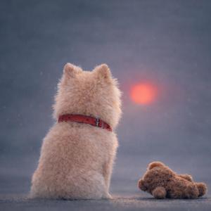 ตลอดไป (feat. Morty Forever)