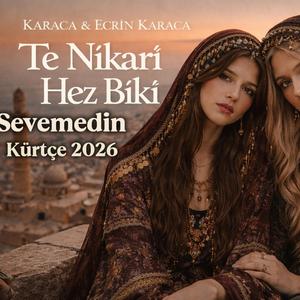 Te Nikarî Hez Bikî-Sevemedin