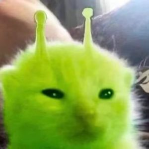 拼好歌之万恶之源