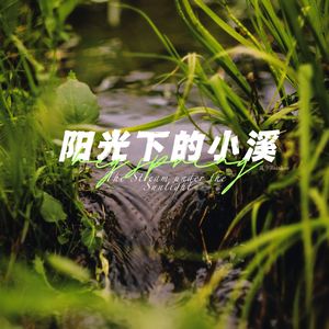 轻舞风铃（Wind Chime）