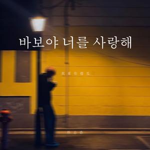 我爱你傻瓜（바보야 너를 사랑해）