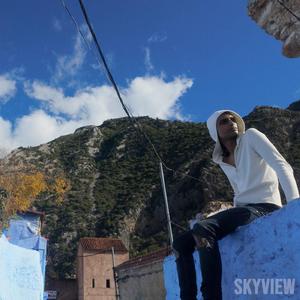 Skyview