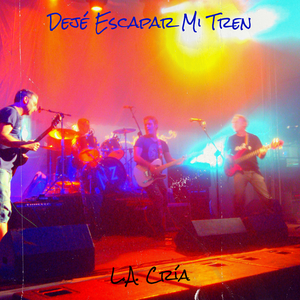 Dejé Escapar Mi Tren