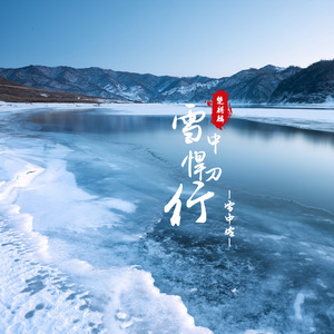雪中悍刀行 (雪中客)