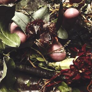 人間性に回帰する消耗品 (The Consumable Reverting to Humanity)