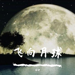 飞向月球
