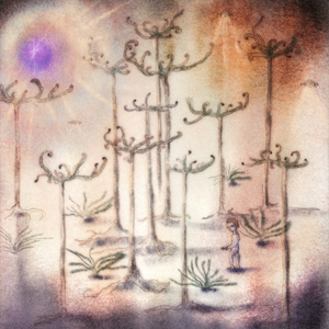 el niño que se perdió en la niebla