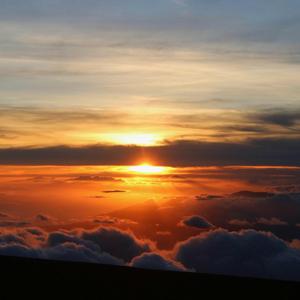 Hawaii Feels Like Home