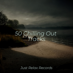 Forgotten Murmurs of Illusion