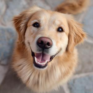 착한 아이 (Good Kid)