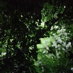 see the word with you