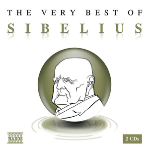 Violin Concerto in D Minor, Op. 47:Violin Concerto in D Minor, Op. 47: II. Adagio di molto