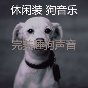 微妙的训练犬心情