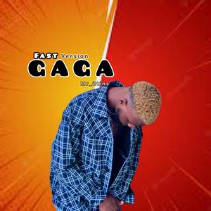 GAGA (Fast Version )