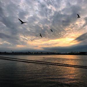 红豆 原唱：要不要买菜