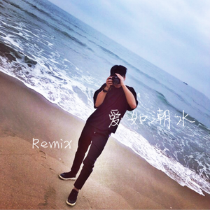 爱如潮水remix