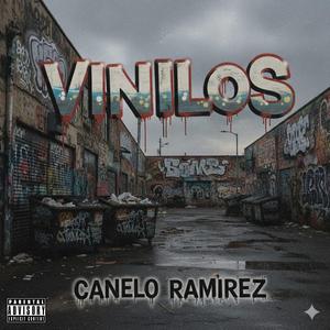 Vinilos