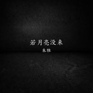 若月亮没来