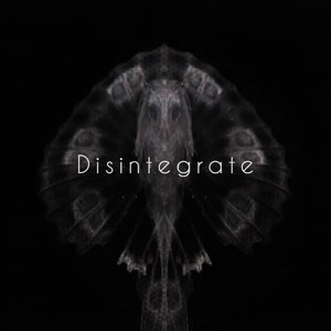 Disintegrate