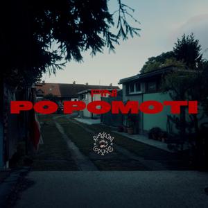 Po pomoti