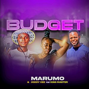 Budget