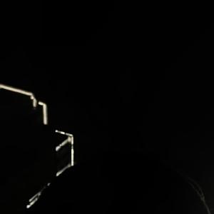 2022.7.8_3_春 _ 玄 _ 鳥