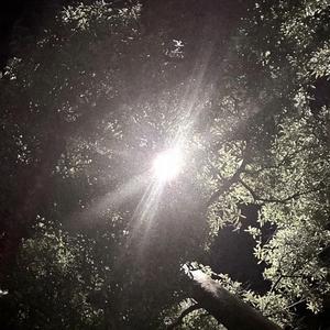 ILLUMINATED