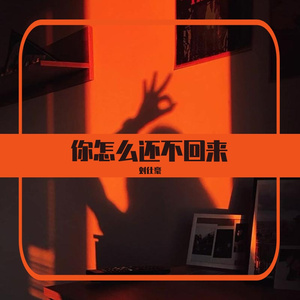 你怎么还不回来