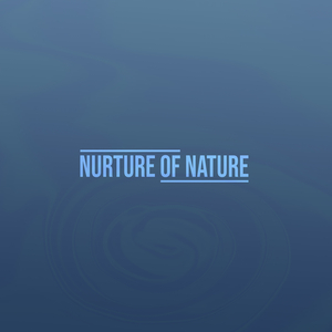 Evening Drops (Rain)