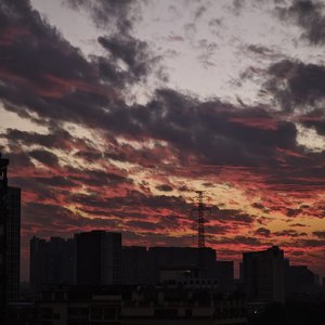 将进酒