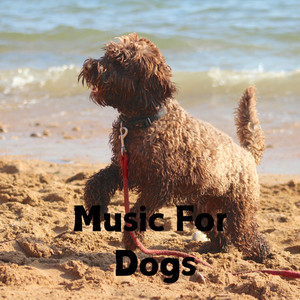 Music For Dogs