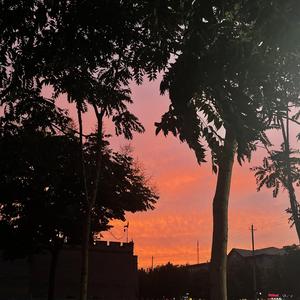 我想这一切都关于你（吉他弹唱）